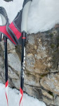 tekaške palice swix145