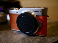 Panasonic Lumix DC-GX850 (Lumix DC-GX800 / Lumix DC-GF9) (M43)