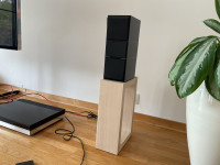 Bang & Olufsen Beovox CX100 + Beovox Cona subwoofer