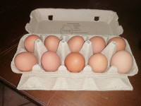 Prodaja jajc