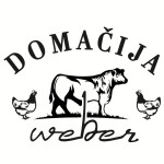 Valilna jajca sulmdolskih kokošk/sulmdolska kokoš/ sulmtaler kokoš