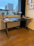 Idasen Ikea dvižna pisalna miza, kot nova!