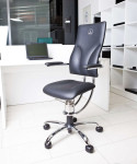 Spinalis apollo 2x (ergonomski stol)