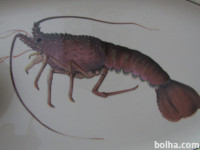 NOV PLADENJ ZA ŠKAMPE Villeroy & Boch