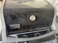 weber plinski žar…