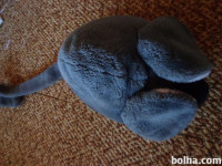 PLIŠASTA VELIKA MIŠ IGRAČA