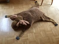 Plišasti los - velikosti cca 130 cm