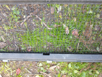 audi a6 karavan 2004 mreža zadaj prtljažnik