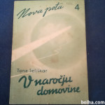 V naročju domovine