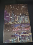 Katarina Minatti: Neko noč, ko je v mestu snežilo