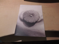 MANIOFEST S POMANJKLJIVOSTMI S. FABJAN LITERARNO DRUŠTVO IA 2020