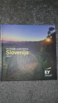 DRUŽINSKO PODJETNIŠTVO SLOVENIJA 2017