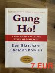 Kako motivirati ljudi v vaši organizaciji - Gung Ho