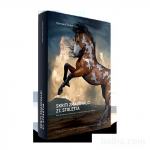 Skriti zmagovalci 21. stoletja - H. Simon