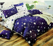 Posteljnina 200x220