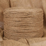 vidaXL Vrv iz jute 250 m dolžina 6 mm debelina