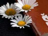 Anders Bodelsen - Misli na neko število