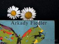 Arkadij Fiedler - Ribe pojo v Ukajli