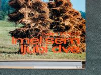 Ivan Potrč - IMEL SEM LJUBI DVE