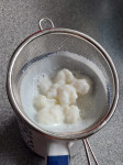 Kefir - gobice za pripravo mlečnega kefirja PODARIM