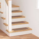 vidaXL Podloge proti zdrsu za stopnice 15 kos 60 x 25 cm Rjava PP