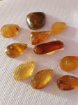 10 prečudoviti naravnih baltskih jantarjev- LITVA- brušeni in polirani