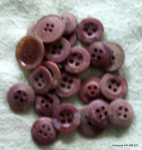 GUMBI RJAVKASTI