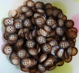 Gumbi, teža 250 g, cca 500 kos