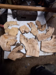 Les vrbe korenina brušen, velikost 7 do 22 cm, deb. 1 do 2 cm, cena 2