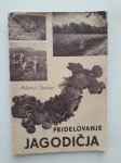 ADAMIČ - SKERLEP, PRIDELOVANJE JAGODIČJA