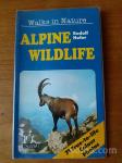 Alpine wildlife