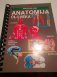 Anatomija človeka