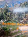 Dr. VLADIMIR BRAČIČ GOZDNATE HALOZE