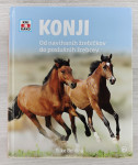 KONJI : OD NAVIHANIH ŽREBIČKOV DI POSLUŠNIH ŽREBCEV Silke Behling