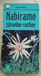 Nabiramo zdravilne rastline