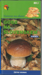 Narava na dlani. Gobe na Slovenskem