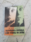 SLOVENSKA SOCIALA MED VCERAJ IN JUTRI  JOZE RAMOVS  LETO 1995