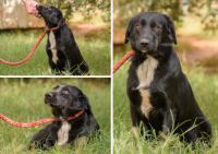 Evander išče družino