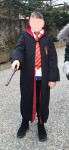 Otroški pustni kostum - Harry Potter