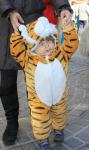 Kostum tiger (1-1,5L)