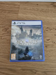 Hogwarts Legacy ps5