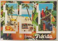 Florida ZDA