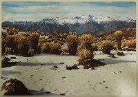 Sierra Nevada, Venezuela