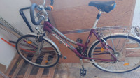 Koko 27 col mifa