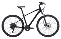 KOLO GIANT Cypress 2
