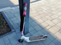 Roza dekliški skiro Oxelo