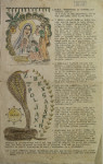 Z bengalskih poljan, misijonsko glasilo, 1951, 1953