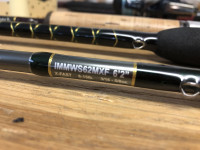 Rainshadow Immortal IMMWS62MXF