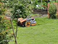 WORX VISION M800