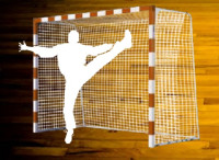 GOL ZA ROKOMET - FUTSAL GOL - SAFEGOAL